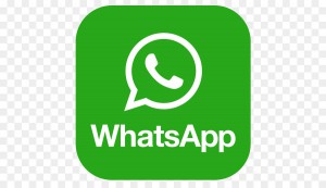 whatsapp-logo-png-5a355f42a0b424.7149169515134472346583.jpg